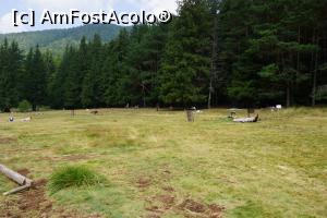 [P16] În jurul lacului Sfânta Ana sunt amenajate locuri de făcut grătare aşa că puteţi pune de un barbeque.  » foto by Utube
 - 
<span class="allrVoted glyphicon glyphicon-heart hidden" id="av777177"></span>
<a class="m-l-10 hidden" id="sv777177" onclick="voting_Foto_DelVot(,777177,3998)" role="button">șterge vot <span class="glyphicon glyphicon-remove"></span></a>
<a id="v9777177" class=" c-red"  onclick="voting_Foto_SetVot(777177)" role="button"><span class="glyphicon glyphicon-heart-empty"></span> <b>LIKE</b> = Votează poza</a> <img class="hidden"  id="f777177W9" src="/imagini/loader.gif" border="0" /><span class="AjErrMes hidden" id="e777177ErM"></span>