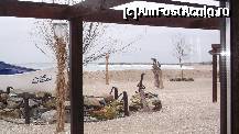[P11] Natura dezlantuita » foto by johnnyredlabel †
 - 
<span class="allrVoted glyphicon glyphicon-heart hidden" id="av289636"></span>
<a class="m-l-10 hidden" id="sv289636" onclick="voting_Foto_DelVot(,289636,4001)" role="button">șterge vot <span class="glyphicon glyphicon-remove"></span></a>
<a id="v9289636" class=" c-red"  onclick="voting_Foto_SetVot(289636)" role="button"><span class="glyphicon glyphicon-heart-empty"></span> <b>LIKE</b> = Votează poza</a> <img class="hidden"  id="f289636W9" src="/imagini/loader.gif" border="0" /><span class="AjErrMes hidden" id="e289636ErM"></span>