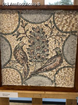 [P24] Edificiul Roman cu Mozaic, Mozaic din expoziția studenților de la Alba Iulia. » foto by Floria
 - 
<span class="allrVoted glyphicon glyphicon-heart hidden" id="av1523765"></span>
<a class="m-l-10 hidden" id="sv1523765" onclick="voting_Foto_DelVot(,1523765,4001)" role="button">șterge vot <span class="glyphicon glyphicon-remove"></span></a>
<a id="v91523765" class=" c-red"  onclick="voting_Foto_SetVot(1523765)" role="button"><span class="glyphicon glyphicon-heart-empty"></span> <b>LIKE</b> = Votează poza</a> <img class="hidden"  id="f1523765W9" src="/imagini/loader.gif" border="0" /><span class="AjErrMes hidden" id="e1523765ErM"></span>