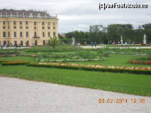 [P21] CURTE SCHONBRUNN » foto by zlatna
 - 
<span class="allrVoted glyphicon glyphicon-heart hidden" id="av641424"></span>
<a class="m-l-10 hidden" id="sv641424" onclick="voting_Foto_DelVot(,641424,4023)" role="button">șterge vot <span class="glyphicon glyphicon-remove"></span></a>
<a id="v9641424" class=" c-red"  onclick="voting_Foto_SetVot(641424)" role="button"><span class="glyphicon glyphicon-heart-empty"></span> <b>LIKE</b> = Votează poza</a> <img class="hidden"  id="f641424W9" src="/imagini/loader.gif" border="0" /><span class="AjErrMes hidden" id="e641424ErM"></span>