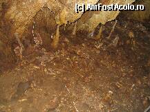 [P03] Pestera Ursilor- schelete ale ursilor de pestera » foto by luciaoradea
 - 
<span class="allrVoted glyphicon glyphicon-heart hidden" id="av187879"></span>
<a class="m-l-10 hidden" id="sv187879" onclick="voting_Foto_DelVot(,187879,4024)" role="button">șterge vot <span class="glyphicon glyphicon-remove"></span></a>
<a id="v9187879" class=" c-red"  onclick="voting_Foto_SetVot(187879)" role="button"><span class="glyphicon glyphicon-heart-empty"></span> <b>LIKE</b> = Votează poza</a> <img class="hidden"  id="f187879W9" src="/imagini/loader.gif" border="0" /><span class="AjErrMes hidden" id="e187879ErM"></span>