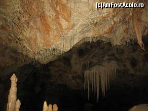 [P10] In Pestera Ursilor (sala spaghetelor)  » foto by dorgo
 - 
<span class="allrVoted glyphicon glyphicon-heart hidden" id="av645708"></span>
<a class="m-l-10 hidden" id="sv645708" onclick="voting_Foto_DelVot(,645708,4024)" role="button">șterge vot <span class="glyphicon glyphicon-remove"></span></a>
<a id="v9645708" class=" c-red"  onclick="voting_Foto_SetVot(645708)" role="button"><span class="glyphicon glyphicon-heart-empty"></span> <b>LIKE</b> = Votează poza</a> <img class="hidden"  id="f645708W9" src="/imagini/loader.gif" border="0" /><span class="AjErrMes hidden" id="e645708ErM"></span>