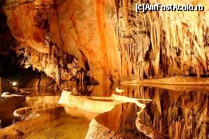 [P11] In Pestera Ursilor (poza prelevata de pe Internet, realizata de specialisti)  » foto by dorgo
 - 
<span class="allrVoted glyphicon glyphicon-heart hidden" id="av645709"></span>
<a class="m-l-10 hidden" id="sv645709" onclick="voting_Foto_DelVot(,645709,4024)" role="button">șterge vot <span class="glyphicon glyphicon-remove"></span></a>
<a id="v9645709" class=" c-red"  onclick="voting_Foto_SetVot(645709)" role="button"><span class="glyphicon glyphicon-heart-empty"></span> <b>LIKE</b> = Votează poza</a> <img class="hidden"  id="f645709W9" src="/imagini/loader.gif" border="0" /><span class="AjErrMes hidden" id="e645709ErM"></span>