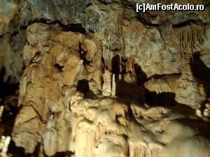 [P12] In Pestera Ursilor » foto by dorgo
 - 
<span class="allrVoted glyphicon glyphicon-heart hidden" id="av645711"></span>
<a class="m-l-10 hidden" id="sv645711" onclick="voting_Foto_DelVot(,645711,4024)" role="button">șterge vot <span class="glyphicon glyphicon-remove"></span></a>
<a id="v9645711" class=" c-red"  onclick="voting_Foto_SetVot(645711)" role="button"><span class="glyphicon glyphicon-heart-empty"></span> <b>LIKE</b> = Votează poza</a> <img class="hidden"  id="f645711W9" src="/imagini/loader.gif" border="0" /><span class="AjErrMes hidden" id="e645711ErM"></span>