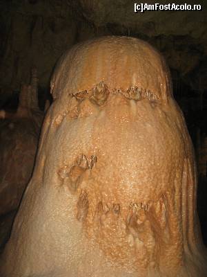 [P15] In Pestera Ursilor (o creatura de cosmar, un monstru, o meduza, un Alien?)  » foto by dorgo
 - 
<span class="allrVoted glyphicon glyphicon-heart hidden" id="av645714"></span>
<a class="m-l-10 hidden" id="sv645714" onclick="voting_Foto_DelVot(,645714,4024)" role="button">șterge vot <span class="glyphicon glyphicon-remove"></span></a>
<a id="v9645714" class=" c-red"  onclick="voting_Foto_SetVot(645714)" role="button"><span class="glyphicon glyphicon-heart-empty"></span> <b>LIKE</b> = Votează poza</a> <img class="hidden"  id="f645714W9" src="/imagini/loader.gif" border="0" /><span class="AjErrMes hidden" id="e645714ErM"></span>