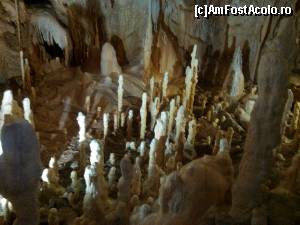 [P16] In sala lumanarilor » foto by dorgo
 - 
<span class="allrVoted glyphicon glyphicon-heart hidden" id="av645716"></span>
<a class="m-l-10 hidden" id="sv645716" onclick="voting_Foto_DelVot(,645716,4024)" role="button">șterge vot <span class="glyphicon glyphicon-remove"></span></a>
<a id="v9645716" class=" c-red"  onclick="voting_Foto_SetVot(645716)" role="button"><span class="glyphicon glyphicon-heart-empty"></span> <b>LIKE</b> = Votează poza</a> <img class="hidden"  id="f645716W9" src="/imagini/loader.gif" border="0" /><span class="AjErrMes hidden" id="e645716ErM"></span>