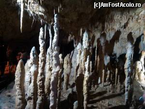 [P18] In Pestera Ursilor » foto by dorgo
 - 
<span class="allrVoted glyphicon glyphicon-heart hidden" id="av645721"></span>
<a class="m-l-10 hidden" id="sv645721" onclick="voting_Foto_DelVot(,645721,4024)" role="button">șterge vot <span class="glyphicon glyphicon-remove"></span></a>
<a id="v9645721" class=" c-red"  onclick="voting_Foto_SetVot(645721)" role="button"><span class="glyphicon glyphicon-heart-empty"></span> <b>LIKE</b> = Votează poza</a> <img class="hidden"  id="f645721W9" src="/imagini/loader.gif" border="0" /><span class="AjErrMes hidden" id="e645721ErM"></span>