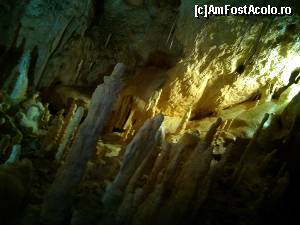[P19] In Pestera Ursilor » foto by dorgo
 - 
<span class="allrVoted glyphicon glyphicon-heart hidden" id="av645725"></span>
<a class="m-l-10 hidden" id="sv645725" onclick="voting_Foto_DelVot(,645725,4024)" role="button">șterge vot <span class="glyphicon glyphicon-remove"></span></a>
<a id="v9645725" class=" c-red"  onclick="voting_Foto_SetVot(645725)" role="button"><span class="glyphicon glyphicon-heart-empty"></span> <b>LIKE</b> = Votează poza</a> <img class="hidden"  id="f645725W9" src="/imagini/loader.gif" border="0" /><span class="AjErrMes hidden" id="e645725ErM"></span>