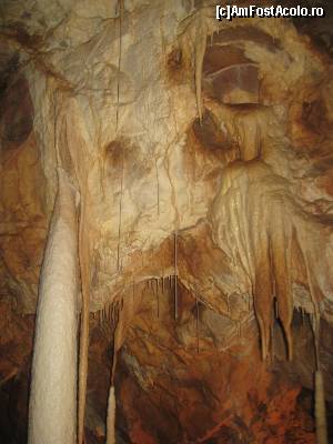 [P08] In Pestera Ursilor » foto by dorgo
 - 
<span class="allrVoted glyphicon glyphicon-heart hidden" id="av645706"></span>
<a class="m-l-10 hidden" id="sv645706" onclick="voting_Foto_DelVot(,645706,4024)" role="button">șterge vot <span class="glyphicon glyphicon-remove"></span></a>
<a id="v9645706" class=" c-red"  onclick="voting_Foto_SetVot(645706)" role="button"><span class="glyphicon glyphicon-heart-empty"></span> <b>LIKE</b> = Votează poza</a> <img class="hidden"  id="f645706W9" src="/imagini/loader.gif" border="0" /><span class="AjErrMes hidden" id="e645706ErM"></span>