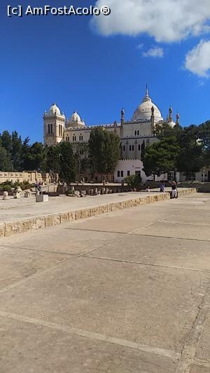 [P03]  -- <small>// FĂRĂ DESCRIERE</small> » foto by viorelgeorgescu
 - 
<span class="allrVoted glyphicon glyphicon-heart hidden" id="av1232772"></span>
<a class="m-l-10 hidden" id="sv1232772" onclick="voting_Foto_DelVot(,1232772,4040)" role="button">șterge vot <span class="glyphicon glyphicon-remove"></span></a>
<a id="v91232772" class=" c-red"  onclick="voting_Foto_SetVot(1232772)" role="button"><span class="glyphicon glyphicon-heart-empty"></span> <b>LIKE</b> = Votează poza</a> <img class="hidden"  id="f1232772W9" src="/imagini/loader.gif" border="0" /><span class="AjErrMes hidden" id="e1232772ErM"></span>