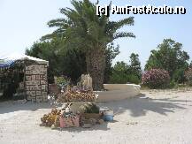 [P23]  -- <small>// FĂRĂ DESCRIERE</small> » foto by ileana45
 - 
<span class="allrVoted glyphicon glyphicon-heart hidden" id="av215523"></span>
<a class="m-l-10 hidden" id="sv215523" onclick="voting_Foto_DelVot(,215523,4040)" role="button">șterge vot <span class="glyphicon glyphicon-remove"></span></a>
<a id="v9215523" class=" c-red"  onclick="voting_Foto_SetVot(215523)" role="button"><span class="glyphicon glyphicon-heart-empty"></span> <b>LIKE</b> = Votează poza</a> <img class="hidden"  id="f215523W9" src="/imagini/loader.gif" border="0" /><span class="AjErrMes hidden" id="e215523ErM"></span>