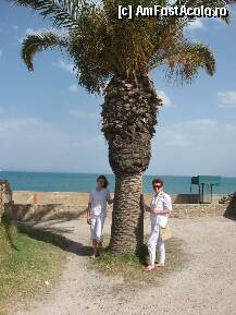 [P25]  -- <small>// FĂRĂ DESCRIERE</small> » foto by ileana45
 - 
<span class="allrVoted glyphicon glyphicon-heart hidden" id="av215526"></span>
<a class="m-l-10 hidden" id="sv215526" onclick="voting_Foto_DelVot(,215526,4040)" role="button">șterge vot <span class="glyphicon glyphicon-remove"></span></a>
<a id="v9215526" class=" c-red"  onclick="voting_Foto_SetVot(215526)" role="button"><span class="glyphicon glyphicon-heart-empty"></span> <b>LIKE</b> = Votează poza</a> <img class="hidden"  id="f215526W9" src="/imagini/loader.gif" border="0" /><span class="AjErrMes hidden" id="e215526ErM"></span>