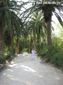 [P33]  -- <small>// FĂRĂ DESCRIERE</small> » foto by ileana45
 - 
<span class="allrVoted glyphicon glyphicon-heart hidden" id="av215546"></span>
<a class="m-l-10 hidden" id="sv215546" onclick="voting_Foto_DelVot(,215546,4040)" role="button">șterge vot <span class="glyphicon glyphicon-remove"></span></a>
<a id="v9215546" class=" c-red"  onclick="voting_Foto_SetVot(215546)" role="button"><span class="glyphicon glyphicon-heart-empty"></span> <b>LIKE</b> = Votează poza</a> <img class="hidden"  id="f215546W9" src="/imagini/loader.gif" border="0" /><span class="AjErrMes hidden" id="e215546ErM"></span>