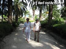 [P34]  -- <small>// FĂRĂ DESCRIERE</small> » foto by ileana45
 - 
<span class="allrVoted glyphicon glyphicon-heart hidden" id="av215549"></span>
<a class="m-l-10 hidden" id="sv215549" onclick="voting_Foto_DelVot(,215549,4040)" role="button">șterge vot <span class="glyphicon glyphicon-remove"></span></a>
<a id="v9215549" class=" c-red"  onclick="voting_Foto_SetVot(215549)" role="button"><span class="glyphicon glyphicon-heart-empty"></span> <b>LIKE</b> = Votează poza</a> <img class="hidden"  id="f215549W9" src="/imagini/loader.gif" border="0" /><span class="AjErrMes hidden" id="e215549ErM"></span>