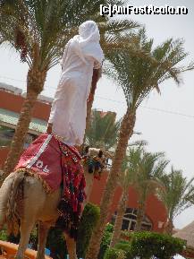 [P28] camila Bobi..de pe plaja noastră » foto by RLY22*
 - 
<span class="allrVoted glyphicon glyphicon-heart hidden" id="av100265"></span>
<a class="m-l-10 hidden" id="sv100265" onclick="voting_Foto_DelVot(,100265,4046)" role="button">șterge vot <span class="glyphicon glyphicon-remove"></span></a>
<a id="v9100265" class=" c-red"  onclick="voting_Foto_SetVot(100265)" role="button"><span class="glyphicon glyphicon-heart-empty"></span> <b>LIKE</b> = Votează poza</a> <img class="hidden"  id="f100265W9" src="/imagini/loader.gif" border="0" /><span class="AjErrMes hidden" id="e100265ErM"></span>