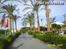 [P18]  -- <small>// FĂRĂ DESCRIERE</small> » foto by ynu25
 - 
<span class="allrVoted glyphicon glyphicon-heart hidden" id="av77810"></span>
<a class="m-l-10 hidden" id="sv77810" onclick="voting_Foto_DelVot(,77810,4046)" role="button">șterge vot <span class="glyphicon glyphicon-remove"></span></a>
<a id="v977810" class=" c-red"  onclick="voting_Foto_SetVot(77810)" role="button"><span class="glyphicon glyphicon-heart-empty"></span> <b>LIKE</b> = Votează poza</a> <img class="hidden"  id="f77810W9" src="/imagini/loader.gif" border="0" /><span class="AjErrMes hidden" id="e77810ErM"></span>