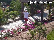 [P03] prin aleilor cu flori cu prietenii » foto by ynu25
 - 
<span class="allrVoted glyphicon glyphicon-heart hidden" id="av77777"></span>
<a class="m-l-10 hidden" id="sv77777" onclick="voting_Foto_DelVot(,77777,4046)" role="button">șterge vot <span class="glyphicon glyphicon-remove"></span></a>
<a id="v977777" class=" c-red"  onclick="voting_Foto_SetVot(77777)" role="button"><span class="glyphicon glyphicon-heart-empty"></span> <b>LIKE</b> = Votează poza</a> <img class="hidden"  id="f77777W9" src="/imagini/loader.gif" border="0" /><span class="AjErrMes hidden" id="e77777ErM"></span>