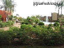 [P07] splendoare verde » foto by ynu25
 - 
<span class="allrVoted glyphicon glyphicon-heart hidden" id="av77787"></span>
<a class="m-l-10 hidden" id="sv77787" onclick="voting_Foto_DelVot(,77787,4046)" role="button">șterge vot <span class="glyphicon glyphicon-remove"></span></a>
<a id="v977787" class=" c-red"  onclick="voting_Foto_SetVot(77787)" role="button"><span class="glyphicon glyphicon-heart-empty"></span> <b>LIKE</b> = Votează poza</a> <img class="hidden"  id="f77787W9" src="/imagini/loader.gif" border="0" /><span class="AjErrMes hidden" id="e77787ErM"></span>