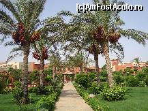 [P03]  -- <small>// FĂRĂ DESCRIERE</small> » foto by raluca06
 - 
<span class="allrVoted glyphicon glyphicon-heart hidden" id="av100733"></span>
<a class="m-l-10 hidden" id="sv100733" onclick="voting_Foto_DelVot(,100733,4046)" role="button">șterge vot <span class="glyphicon glyphicon-remove"></span></a>
<a id="v9100733" class=" c-red"  onclick="voting_Foto_SetVot(100733)" role="button"><span class="glyphicon glyphicon-heart-empty"></span> <b>LIKE</b> = Votează poza</a> <img class="hidden"  id="f100733W9" src="/imagini/loader.gif" border="0" /><span class="AjErrMes hidden" id="e100733ErM"></span>