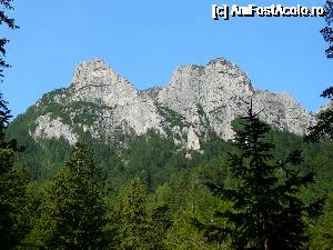 P03 [AUG-2014] Stâncăriile ce se înalţă deasupra noastră în dreptul Văii Coştila - de la stânga la dreapta: Peretele Vulturilor, Valea COştilei (cu unul din Ţancuri în prim plan), Peretele Coştila şi pe faţa opusă, Peretele Gălbenele