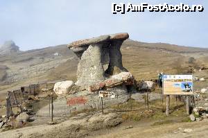 P09 [OCT-2015] Babele închise în țarc. Am auzit că dacă le dau drumu', mușcă turiștii! 