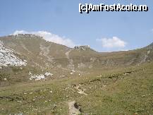 [P21] Unde e Omu'? Dupa colt...  » foto by gregorio
 - 
<span class="allrVoted glyphicon glyphicon-heart hidden" id="av452679"></span>
<a class="m-l-10 hidden" id="sv452679" onclick="voting_Foto_DelVot(,452679,4076)" role="button">șterge vot <span class="glyphicon glyphicon-remove"></span></a>
<a id="v9452679" class=" c-red"  onclick="voting_Foto_SetVot(452679)" role="button"><span class="glyphicon glyphicon-heart-empty"></span> <b>LIKE</b> = Votează poza</a> <img class="hidden"  id="f452679W9" src="/imagini/loader.gif" border="0" /><span class="AjErrMes hidden" id="e452679ErM"></span>