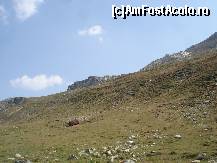 [P22]  -- <small>// FĂRĂ DESCRIERE</small> » foto by gregorio
 - 
<span class="allrVoted glyphicon glyphicon-heart hidden" id="av452683"></span>
<a class="m-l-10 hidden" id="sv452683" onclick="voting_Foto_DelVot(,452683,4076)" role="button">șterge vot <span class="glyphicon glyphicon-remove"></span></a>
<a id="v9452683" class=" c-red"  onclick="voting_Foto_SetVot(452683)" role="button"><span class="glyphicon glyphicon-heart-empty"></span> <b>LIKE</b> = Votează poza</a> <img class="hidden"  id="f452683W9" src="/imagini/loader.gif" border="0" /><span class="AjErrMes hidden" id="e452683ErM"></span>