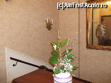 [P13] Pe casa scarilor! » foto by balasa violeta
 - 
<span class="allrVoted glyphicon glyphicon-heart hidden" id="av331599"></span>
<a class="m-l-10 hidden" id="sv331599" onclick="voting_Foto_DelVot(,331599,4083)" role="button">șterge vot <span class="glyphicon glyphicon-remove"></span></a>
<a id="v9331599" class=" c-red"  onclick="voting_Foto_SetVot(331599)" role="button"><span class="glyphicon glyphicon-heart-empty"></span> <b>LIKE</b> = Votează poza</a> <img class="hidden"  id="f331599W9" src="/imagini/loader.gif" border="0" /><span class="AjErrMes hidden" id="e331599ErM"></span>