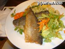 [P23] 'Caru' cu Bere, peste cu cartofi natur » foto by magdalena
 - 
<span class="allrVoted glyphicon glyphicon-heart hidden" id="av276149"></span>
<a class="m-l-10 hidden" id="sv276149" onclick="voting_Foto_DelVot(,276149,4083)" role="button">șterge vot <span class="glyphicon glyphicon-remove"></span></a>
<a id="v9276149" class=" c-red"  onclick="voting_Foto_SetVot(276149)" role="button"><span class="glyphicon glyphicon-heart-empty"></span> <b>LIKE</b> = Votează poza</a> <img class="hidden"  id="f276149W9" src="/imagini/loader.gif" border="0" /><span class="AjErrMes hidden" id="e276149ErM"></span>