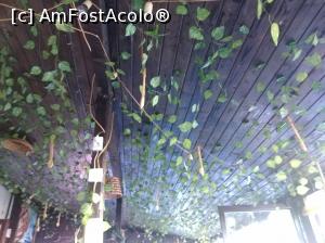 [P22] Da Giulia, Colentina, București » foto by Mioritik
 - 
<span class="allrVoted glyphicon glyphicon-heart hidden" id="av1251621"></span>
<a class="m-l-10 hidden" id="sv1251621" onclick="voting_Foto_DelVot(,1251621,4083)" role="button">șterge vot <span class="glyphicon glyphicon-remove"></span></a>
<a id="v91251621" class=" c-red"  onclick="voting_Foto_SetVot(1251621)" role="button"><span class="glyphicon glyphicon-heart-empty"></span> <b>LIKE</b> = Votează poza</a> <img class="hidden"  id="f1251621W9" src="/imagini/loader.gif" border="0" /><span class="AjErrMes hidden" id="e1251621ErM"></span>