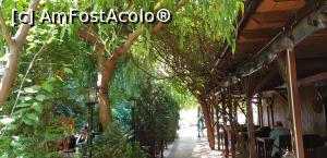 [P06] Un prânz cu prietenii la Casa Condor - terasa » foto by nicole33
 - 
<span class="allrVoted glyphicon glyphicon-heart hidden" id="av1088583"></span>
<a class="m-l-10 hidden" id="sv1088583" onclick="voting_Foto_DelVot(,1088583,4083)" role="button">șterge vot <span class="glyphicon glyphicon-remove"></span></a>
<a id="v91088583" class=" c-red"  onclick="voting_Foto_SetVot(1088583)" role="button"><span class="glyphicon glyphicon-heart-empty"></span> <b>LIKE</b> = Votează poza</a> <img class="hidden"  id="f1088583W9" src="/imagini/loader.gif" border="0" /><span class="AjErrMes hidden" id="e1088583ErM"></span>