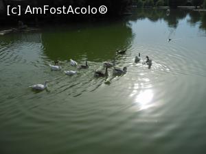 [P25] Cafeneaua Actorilor - Parcul Tineretului. Vedere de pe terasă. » foto by iulianic
 - 
<span class="allrVoted glyphicon glyphicon-heart hidden" id="av1234713"></span>
<a class="m-l-10 hidden" id="sv1234713" onclick="voting_Foto_DelVot(,1234713,4083)" role="button">șterge vot <span class="glyphicon glyphicon-remove"></span></a>
<a id="v91234713" class=" c-red"  onclick="voting_Foto_SetVot(1234713)" role="button"><span class="glyphicon glyphicon-heart-empty"></span> <b>LIKE</b> = Votează poza</a> <img class="hidden"  id="f1234713W9" src="/imagini/loader.gif" border="0" /><span class="AjErrMes hidden" id="e1234713ErM"></span>