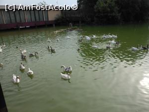 [P28] Cafeneaua Actorilor - Parcul Tineretului. Vedere de pe terasă. » foto by iulianic
 - 
<span class="allrVoted glyphicon glyphicon-heart hidden" id="av1234716"></span>
<a class="m-l-10 hidden" id="sv1234716" onclick="voting_Foto_DelVot(,1234716,4083)" role="button">șterge vot <span class="glyphicon glyphicon-remove"></span></a>
<a id="v91234716" class=" c-red"  onclick="voting_Foto_SetVot(1234716)" role="button"><span class="glyphicon glyphicon-heart-empty"></span> <b>LIKE</b> = Votează poza</a> <img class="hidden"  id="f1234716W9" src="/imagini/loader.gif" border="0" /><span class="AjErrMes hidden" id="e1234716ErM"></span>