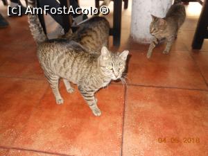 [P24] La Cocoșatu’ - Trei musafiri la masă.  » foto by iulianic
 - 
<span class="allrVoted glyphicon glyphicon-heart hidden" id="av964084"></span>
<a class="m-l-10 hidden" id="sv964084" onclick="voting_Foto_DelVot(,964084,4083)" role="button">șterge vot <span class="glyphicon glyphicon-remove"></span></a>
<a id="v9964084" class=" c-red"  onclick="voting_Foto_SetVot(964084)" role="button"><span class="glyphicon glyphicon-heart-empty"></span> <b>LIKE</b> = Votează poza</a> <img class="hidden"  id="f964084W9" src="/imagini/loader.gif" border="0" /><span class="AjErrMes hidden" id="e964084ErM"></span>