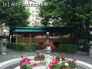 [P14] Casa Oamenilor de Stiinta. In spatele muscatelor este chioscul in care am mancat noi. » foto by Floria
 - 
<span class="allrVoted glyphicon glyphicon-heart hidden" id="av855003"></span>
<a class="m-l-10 hidden" id="sv855003" onclick="voting_Foto_DelVot(,855003,4083)" role="button">șterge vot <span class="glyphicon glyphicon-remove"></span></a>
<a id="v9855003" class=" c-red"  onclick="voting_Foto_SetVot(855003)" role="button"><span class="glyphicon glyphicon-heart-empty"></span> <b>LIKE</b> = Votează poza</a> <img class="hidden"  id="f855003W9" src="/imagini/loader.gif" border="0" /><span class="AjErrMes hidden" id="e855003ErM"></span>