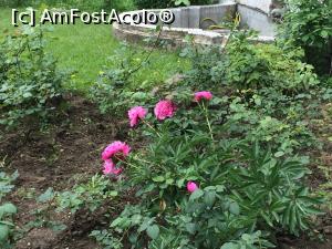 [P04] Casa Oamenilor de Stiinta. Culorile primaverii...  » foto by Floria
 - 
<span class="allrVoted glyphicon glyphicon-heart hidden" id="av854993"></span>
<a class="m-l-10 hidden" id="sv854993" onclick="voting_Foto_DelVot(,854993,4083)" role="button">șterge vot <span class="glyphicon glyphicon-remove"></span></a>
<a id="v9854993" class=" c-red"  onclick="voting_Foto_SetVot(854993)" role="button"><span class="glyphicon glyphicon-heart-empty"></span> <b>LIKE</b> = Votează poza</a> <img class="hidden"  id="f854993W9" src="/imagini/loader.gif" border="0" /><span class="AjErrMes hidden" id="e854993ErM"></span>