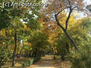 [P17] Cafeneaua Actorilor. Splendoarea toamnei in Parcul Tineretului.  » foto by Floria
 - 
<span class="allrVoted glyphicon glyphicon-heart hidden" id="av912157"></span>
<a class="m-l-10 hidden" id="sv912157" onclick="voting_Foto_DelVot(,912157,4083)" role="button">șterge vot <span class="glyphicon glyphicon-remove"></span></a>
<a id="v9912157" class=" c-red"  onclick="voting_Foto_SetVot(912157)" role="button"><span class="glyphicon glyphicon-heart-empty"></span> <b>LIKE</b> = Votează poza</a> <img class="hidden"  id="f912157W9" src="/imagini/loader.gif" border="0" /><span class="AjErrMes hidden" id="e912157ErM"></span>