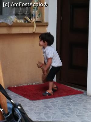 [P23] Doi pui!  » foto by crismis
 - 
<span class="allrVoted glyphicon glyphicon-heart hidden" id="av905376"></span>
<a class="m-l-10 hidden" id="sv905376" onclick="voting_Foto_DelVot(,905376,4083)" role="button">șterge vot <span class="glyphicon glyphicon-remove"></span></a>
<a id="v9905376" class=" c-red"  onclick="voting_Foto_SetVot(905376)" role="button"><span class="glyphicon glyphicon-heart-empty"></span> <b>LIKE</b> = Votează poza</a> <img class="hidden"  id="f905376W9" src="/imagini/loader.gif" border="0" /><span class="AjErrMes hidden" id="e905376ErM"></span>