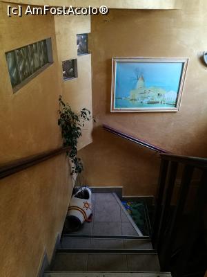 [P09] Pe scări în jos, spre camera de joacă » foto by crismis
 - 
<span class="allrVoted glyphicon glyphicon-heart hidden" id="av905362"></span>
<a class="m-l-10 hidden" id="sv905362" onclick="voting_Foto_DelVot(,905362,4083)" role="button">șterge vot <span class="glyphicon glyphicon-remove"></span></a>
<a id="v9905362" class=" c-red"  onclick="voting_Foto_SetVot(905362)" role="button"><span class="glyphicon glyphicon-heart-empty"></span> <b>LIKE</b> = Votează poza</a> <img class="hidden"  id="f905362W9" src="/imagini/loader.gif" border="0" /><span class="AjErrMes hidden" id="e905362ErM"></span>