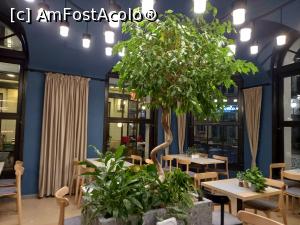 [P04] Cafeneaua Veche 9 » foto by Mika
 - 
<span class="allrVoted glyphicon glyphicon-heart hidden" id="av1339885"></span>
<a class="m-l-10 hidden" id="sv1339885" onclick="voting_Foto_DelVot(,1339885,4083)" role="button">șterge vot <span class="glyphicon glyphicon-remove"></span></a>
<a id="v91339885" class=" c-red"  onclick="voting_Foto_SetVot(1339885)" role="button"><span class="glyphicon glyphicon-heart-empty"></span> <b>LIKE</b> = Votează poza</a> <img class="hidden"  id="f1339885W9" src="/imagini/loader.gif" border="0" /><span class="AjErrMes hidden" id="e1339885ErM"></span>