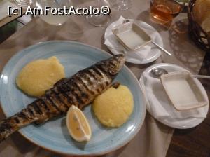 [P27] 24. Păstrăvul meu la grătar, cu mămăliguță și mujdei.  » foto by doinafil
 - 
<span class="allrVoted glyphicon glyphicon-heart hidden" id="av975658"></span>
<a class="m-l-10 hidden" id="sv975658" onclick="voting_Foto_DelVot(,975658,4083)" role="button">șterge vot <span class="glyphicon glyphicon-remove"></span></a>
<a id="v9975658" class=" c-red"  onclick="voting_Foto_SetVot(975658)" role="button"><span class="glyphicon glyphicon-heart-empty"></span> <b>LIKE</b> = Votează poza</a> <img class="hidden"  id="f975658W9" src="/imagini/loader.gif" border="0" /><span class="AjErrMes hidden" id="e975658ErM"></span>