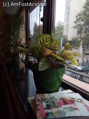 [P46] Journey pub & more, Strada George Enescu, nr. 25 » foto by danaeldreny*
 - 
<span class="allrVoted glyphicon glyphicon-heart hidden" id="av853575"></span>
<a class="m-l-10 hidden" id="sv853575" onclick="voting_Foto_DelVot(,853575,4083)" role="button">șterge vot <span class="glyphicon glyphicon-remove"></span></a>
<a id="v9853575" class=" c-red"  onclick="voting_Foto_SetVot(853575)" role="button"><span class="glyphicon glyphicon-heart-empty"></span> <b>LIKE</b> = Votează poza</a> <img class="hidden"  id="f853575W9" src="/imagini/loader.gif" border="0" /><span class="AjErrMes hidden" id="e853575ErM"></span>