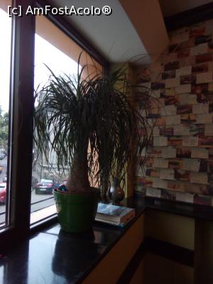 [P48] Journey pub & more, Strada George Enescu, nr. 25 » foto by danaeldreny*
 - 
<span class="allrVoted glyphicon glyphicon-heart hidden" id="av853577"></span>
<a class="m-l-10 hidden" id="sv853577" onclick="voting_Foto_DelVot(,853577,4083)" role="button">șterge vot <span class="glyphicon glyphicon-remove"></span></a>
<a id="v9853577" class=" c-red"  onclick="voting_Foto_SetVot(853577)" role="button"><span class="glyphicon glyphicon-heart-empty"></span> <b>LIKE</b> = Votează poza</a> <img class="hidden"  id="f853577W9" src="/imagini/loader.gif" border="0" /><span class="AjErrMes hidden" id="e853577ErM"></span>