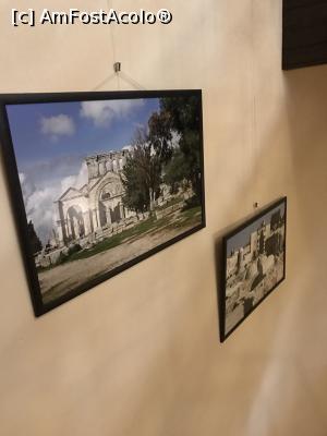 [P10] Decor Tulin » foto by krisstinna
 - 
<span class="allrVoted glyphicon glyphicon-heart hidden" id="av1218385"></span>
<a class="m-l-10 hidden" id="sv1218385" onclick="voting_Foto_DelVot(,1218385,4083)" role="button">șterge vot <span class="glyphicon glyphicon-remove"></span></a>
<a id="v91218385" class=" c-red"  onclick="voting_Foto_SetVot(1218385)" role="button"><span class="glyphicon glyphicon-heart-empty"></span> <b>LIKE</b> = Votează poza</a> <img class="hidden"  id="f1218385W9" src="/imagini/loader.gif" border="0" /><span class="AjErrMes hidden" id="e1218385ErM"></span>