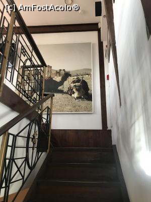 [P13] C&acirc;teva cămile » foto by krisstinna
 - 
<span class="allrVoted glyphicon glyphicon-heart hidden" id="av1218388"></span>
<a class="m-l-10 hidden" id="sv1218388" onclick="voting_Foto_DelVot(,1218388,4083)" role="button">șterge vot <span class="glyphicon glyphicon-remove"></span></a>
<a id="v91218388" class=" c-red"  onclick="voting_Foto_SetVot(1218388)" role="button"><span class="glyphicon glyphicon-heart-empty"></span> <b>LIKE</b> = Votează poza</a> <img class="hidden"  id="f1218388W9" src="/imagini/loader.gif" border="0" /><span class="AjErrMes hidden" id="e1218388ErM"></span>