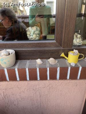 [P04] C&acirc;teva scoici, amintiri estivale » foto by krisstinna
 - 
<span class="allrVoted glyphicon glyphicon-heart hidden" id="av1225964"></span>
<a class="m-l-10 hidden" id="sv1225964" onclick="voting_Foto_DelVot(,1225964,4083)" role="button">șterge vot <span class="glyphicon glyphicon-remove"></span></a>
<a id="v91225964" class=" c-red"  onclick="voting_Foto_SetVot(1225964)" role="button"><span class="glyphicon glyphicon-heart-empty"></span> <b>LIKE</b> = Votează poza</a> <img class="hidden"  id="f1225964W9" src="/imagini/loader.gif" border="0" /><span class="AjErrMes hidden" id="e1225964ErM"></span>