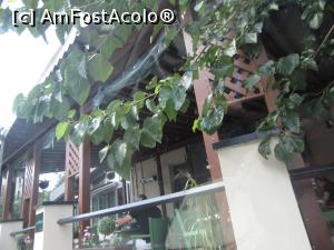 [P20] Terasa restaurantului cam înghesuită » foto by Michi
 - 
<span class="allrVoted glyphicon glyphicon-heart hidden" id="av1251769"></span>
<a class="m-l-10 hidden" id="sv1251769" onclick="voting_Foto_DelVot(,1251769,4083)" role="button">șterge vot <span class="glyphicon glyphicon-remove"></span></a>
<a id="v91251769" class=" c-red"  onclick="voting_Foto_SetVot(1251769)" role="button"><span class="glyphicon glyphicon-heart-empty"></span> <b>LIKE</b> = Votează poza</a> <img class="hidden"  id="f1251769W9" src="/imagini/loader.gif" border="0" /><span class="AjErrMes hidden" id="e1251769ErM"></span>