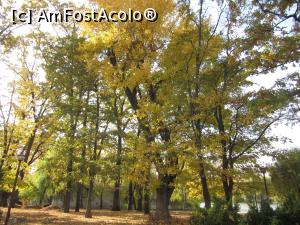 [P01] În apropierea Complexului » foto by Michi
 - 
<span class="allrVoted glyphicon glyphicon-heart hidden" id="av1332432"></span>
<a class="m-l-10 hidden" id="sv1332432" onclick="voting_Foto_DelVot(,1332432,4083)" role="button">șterge vot <span class="glyphicon glyphicon-remove"></span></a>
<a id="v91332432" class=" c-red"  onclick="voting_Foto_SetVot(1332432)" role="button"><span class="glyphicon glyphicon-heart-empty"></span> <b>LIKE</b> = Votează poza</a> <img class="hidden"  id="f1332432W9" src="/imagini/loader.gif" border="0" /><span class="AjErrMes hidden" id="e1332432ErM"></span>