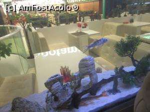 [P27] Un aqvarium la perete » foto by Michi
 - 
<span class="allrVoted glyphicon glyphicon-heart hidden" id="av1348355"></span>
<a class="m-l-10 hidden" id="sv1348355" onclick="voting_Foto_DelVot(,1348355,4083)" role="button">șterge vot <span class="glyphicon glyphicon-remove"></span></a>
<a id="v91348355" class=" c-red"  onclick="voting_Foto_SetVot(1348355)" role="button"><span class="glyphicon glyphicon-heart-empty"></span> <b>LIKE</b> = Votează poza</a> <img class="hidden"  id="f1348355W9" src="/imagini/loader.gif" border="0" /><span class="AjErrMes hidden" id="e1348355ErM"></span>