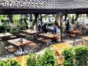 [P27] Grădina, vara » foto by Michi <span class="label label-default labelC_thin small">NEVOTABILĂ</span>